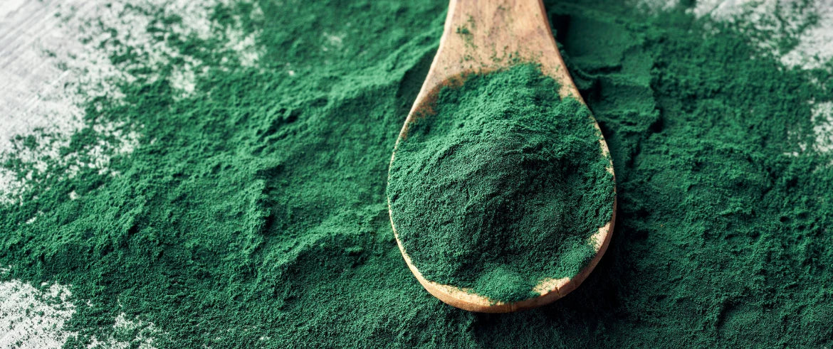 Incompatibilité spiruline et vitamine B12 : vrai ou faux ?